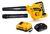 20V LMS единая система